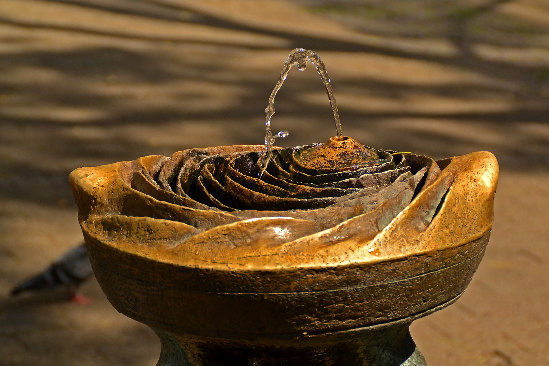 Rose of Time Fountain