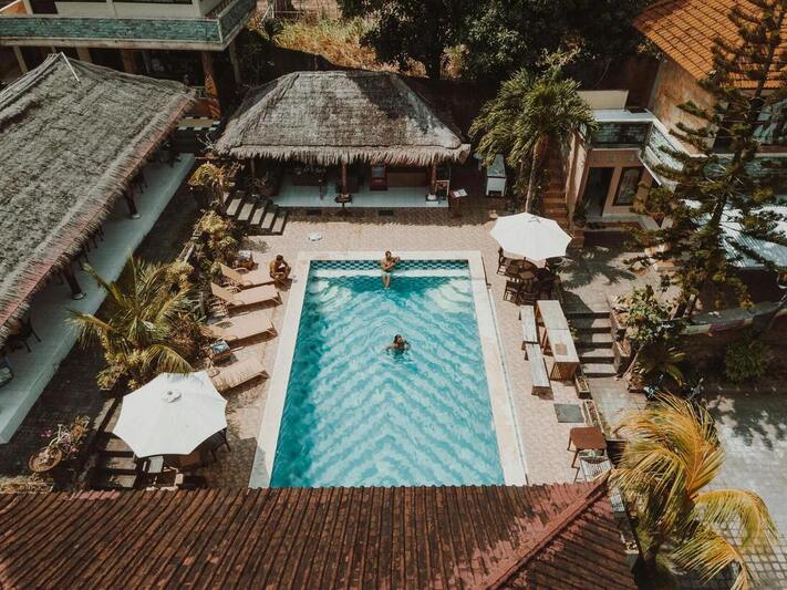 Pool Life Swimmers